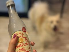 -百好乐宠物友好餐厅(朝外大街店)