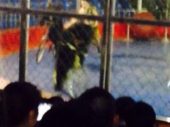 秦岭野生动物园-西安秦岭野生动物园