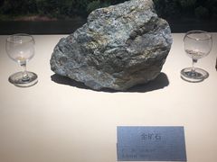 -嘉荫恐龙国家地质公园