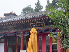 -宫事颐庭·老佛爷贵寿下午茶(颐和园店)