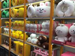 -line friends(明洞旗舰店)