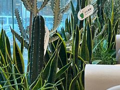-隅乐胡椒虾·台湾菜·团建(皇岗店)