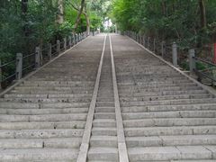 -上海佘山国家森林公园东门地面停车场