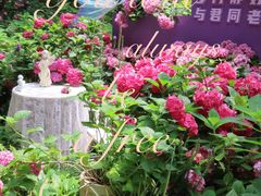 -上海滨江森林公园