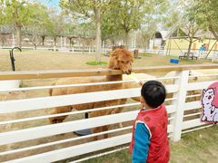 -盈香心动乐园