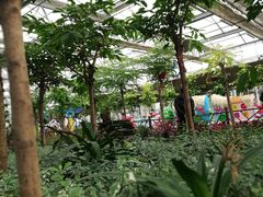 -南宫五洲植物乐园