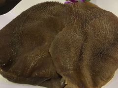 -锅说大脸毛肚重庆老火锅(佐阾店)