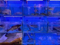-有藕有鱼·湖北菜(唐家墩店)