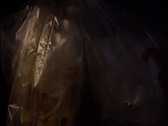 -绝味鸭脖(三潭路店)