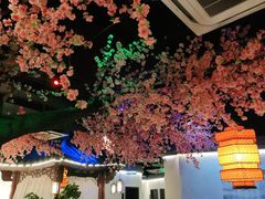 大堂-荷塘秋月·本帮江浙菜(国权路店)