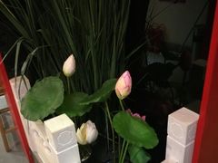 -芦月轩羊蝎子(劲松店)