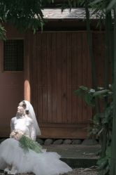 -金夫人婚纱摄影(西昌店)