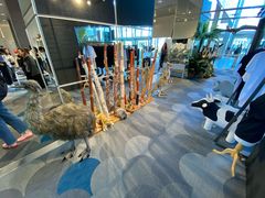 -墨尔本博物馆(Melbourne Museum)