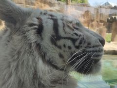 -杭州野生动物世界