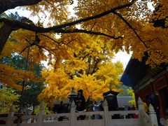 -红螺寺