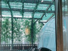 -遇见阿家村云南菜(魏公村店)