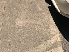 -拍刻风照相馆(紫荆广场店)