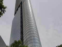 -紫峰大厦
