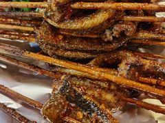 鳝鱼-晓靖轩烧烤(沙河风情店)
