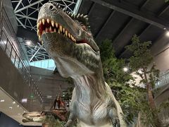 -湖南省地质博物馆