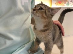 -共舞时光猫咖·狗咖(新街口店)
