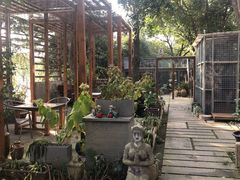 -谷咖啡·鲜花绿植花园餐厅