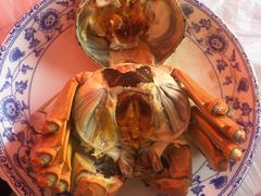 -乡乐园蟹庄·阳澄湖农家乐