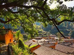 -杨家堂村