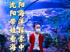 -沈阳海洋探索中心