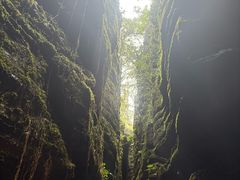 -梭布垭石林景区