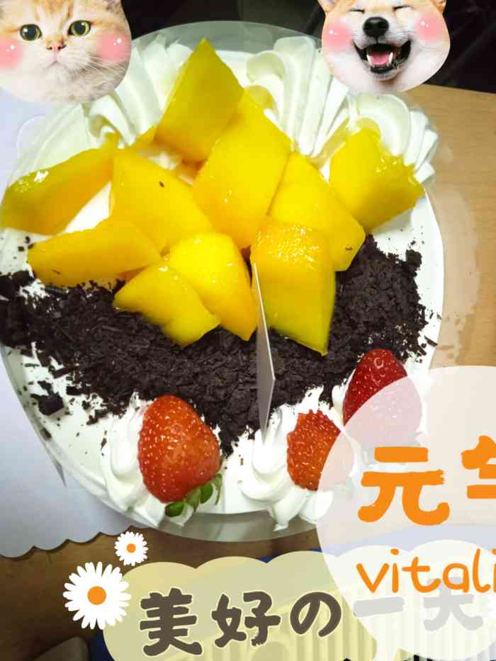 summerparis夕夏巴黎蛋糕(杭州店)-"「ins网红创意暴富蛋糕」八寸的