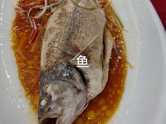 -奥加美术馆