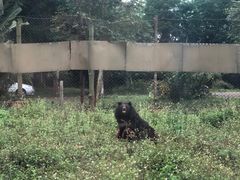 -海南热带野生动植物园