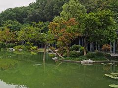 -云溪植物园