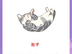 -泰洋动物医院·神经专科·磁共振·CT(天河公园总院)