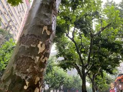 -川香煲(茅台路店)