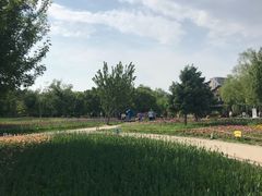 -长春公园(普阳街道)