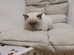 -FULL MOON满月咖啡