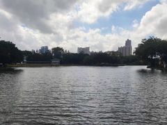 -荔湾湖公园