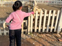 -前小桔亲子创意农场·草莓采摘·露营烧烤