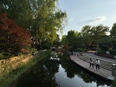 -兰溪青年公园