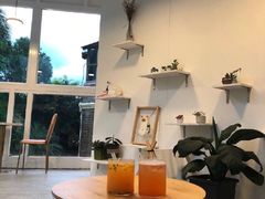 -有猫主题·治愈系猫咖(曾厝垵店)