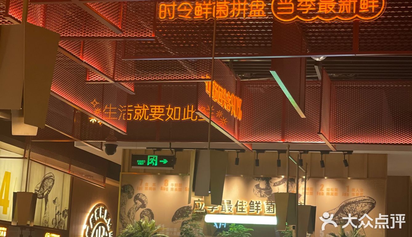 无锡｜比肉还好吃的云南菌子 汤都要喝三碗！