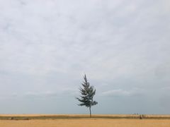 -白沙门生态公园