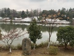 -仙林宾馆-餐厅