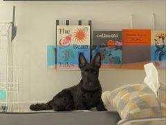 -石棉老鬼烧烤(温江店)