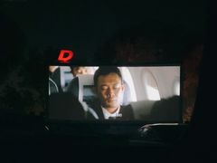-枫花园汽车电影院(朝阳公园店)