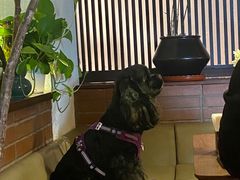-肆海小川菜酒馆Wine Bistro (青年路店)