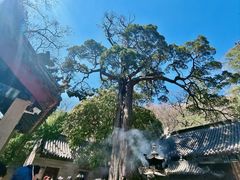 -崂山仰口游览区