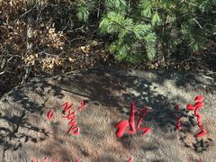 -五营红松林海景区